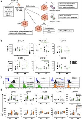 Proinflammatory Differentiation of Macrophages Through Microparticles That Form Immune Complexes Leads to T- and B-Cell Activation in Systemic Autoimmune Diseases